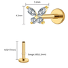 BC500:3256807690503511:gallery-27.png
