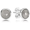 100% 100% 925 Sterling Silver Twelve Months Earring Studs Fit Original DIY Charms Timeless Elegance Zirconia Earring Studs