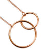 100% S925 sterling silver fashion personality simple double circle double necklace