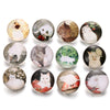 10pcs  18MM Glass Snap Buttons Mixed Colors Glass Cabochon Life Tree Snaps Button Fit DIY Snap Bracelet Jewelry Print Buttons