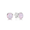 12 Color 925 Sterling Silver Earrings With Twelve Stars Crystal For Women Wedding Jewelry