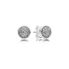 12 Style 925 Sterling Silver Earrings With Crystal Heart Star Flower Earrings Pearl For Women Wedding Jewelry