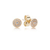 12 Style 925 Sterling Silver Rose Gold/Gold Earrings With Crystal Heart Star Flower Earrings For Women Wedding Jewelry