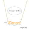 12 Zodiac Necklace Constellation Pendant Long Link Chain Stainless Steel Necklace Jewelry horoscope jewelry for Women Girl