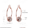 2020 New Earrings European Fashion Jewelry Crystal from Austrian Wholesale Sweet temperament earrings For Women and female