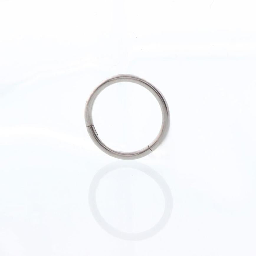 2020 new anti-allergy Titanium alloy Seamless Hinged Segment Sleeper Clicker Ring Hoop Ear Lip Nose Septum Piercing