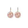 2022 Design Irregular Oval Flower Drop Earring For Woman Gold Color Clear White Crystal Round Elegant Earring Women Jewelry