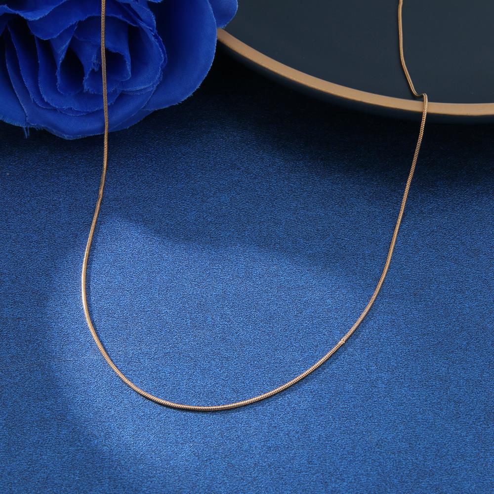 2021 Designer Minimalist Thin Snake Chain Gold Plated Necklaces For Women Niche Sexy Chain Choker Necklaces Jewelry Accessories