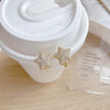2022 Korea Design Jewelry 14K Real Gold Plated AAA Zircon Star Earrings Exquisite Small Girl's Gift Women's Earring