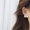 2022 Korea Design Jewelry 14K Real Gold Plated AAA Zircon Star Earrings Exquisite Small Girl's Gift Women's Earring