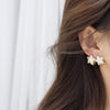2022 Korea Design Jewelry 14K Real Gold Plated AAA Zircon Star Earrings Exquisite Small Girl's Gift Women's Earring