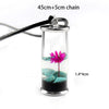 2021 Glass Wishing Bottle Pendant Handmade Resin Dry Lotus Time Drifting Bottle Luminous Pendant Necklace For Women