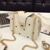 2022 Spring Women Shoulder Bag Chain Strap Flap Designer Handbags Clutch Bag Ladies Messenger Bags With Metal Buckle