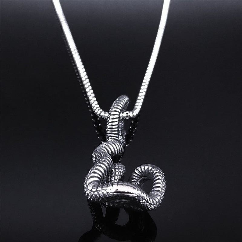 2022 Wicca Cobra Stainless Steel Chain Necklaces Women/Men Silver Color Pendant Necklace Jewelry acero inoxidable joyeria NZZ174