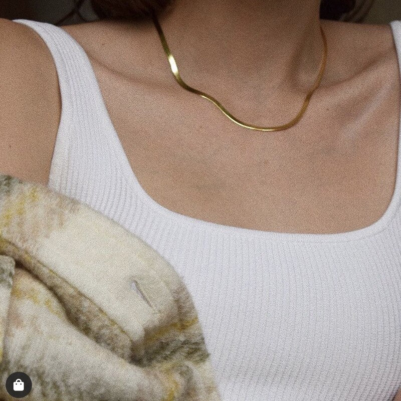 2021 summer popular personality single-layer European and American simple flat snake chain women's short necklace