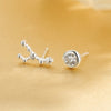 925 Modern Women's Earrings 2020 Classic Fine Jewelry Trendy 2020 Gift Silver Twelve Constellations Stud Earrings