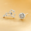 925 Modern Women's Earrings 2020 Classic Fine Jewelry Trendy 2020 Gift Silver Twelve Constellations Stud Earrings