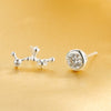 925 Modern Women's Earrings 2020 Classic Fine Jewelry Trendy 2020 Gift Silver Twelve Constellations Stud Earrings