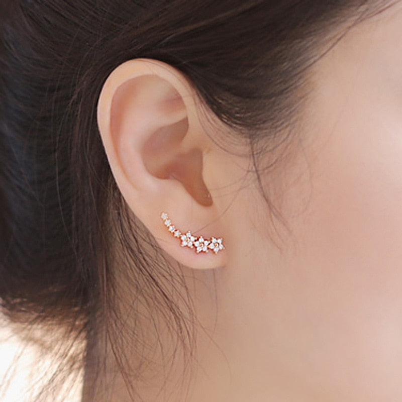925 Stamp Silver Color Women Earrings Star Zircon Stud Earrings Girl Gifts Jewelry  Christmas