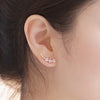 925 Stamp Silver Color Women Earrings Star Zircon Stud Earrings Girl Gifts Jewelry  Christmas