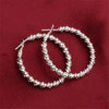 925 Sterling Silver Fashion Personalized Earrings Shape Like Frost Making Fashion Ladies Jewelry Wholesale