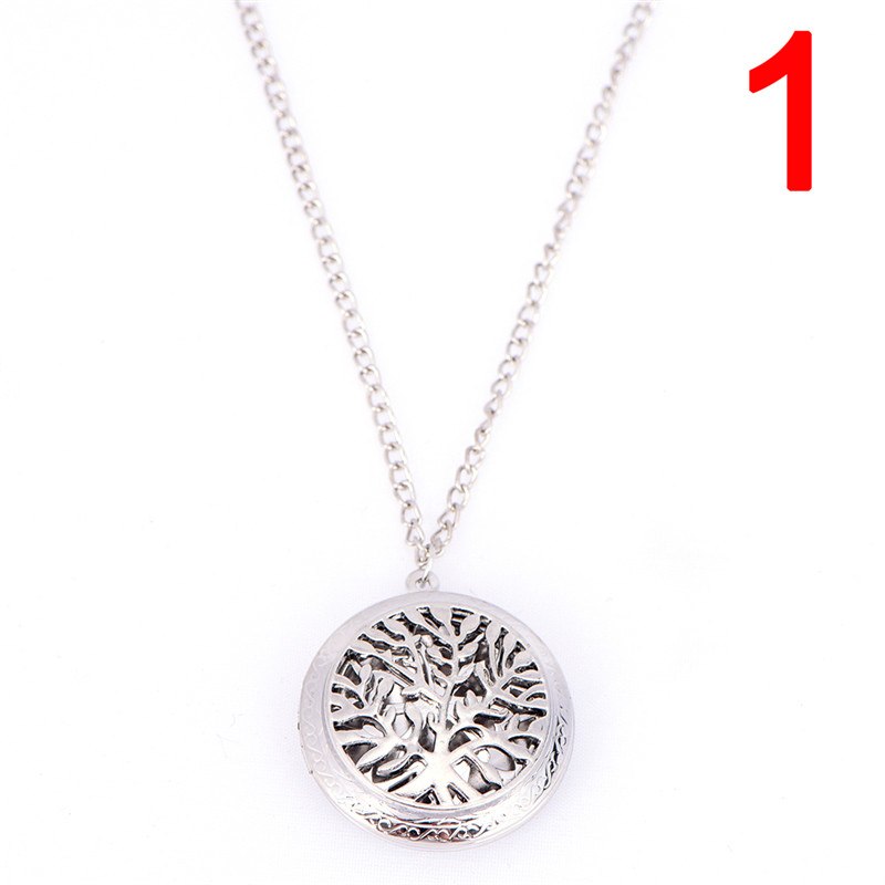 Aromather Essential Oil Surgical Stainless Steel Necklace Pendant Perfume Diffuser Locket New Arrival more than 16 styles