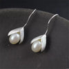 S925 Sterling Silver Earrings long Drop Earring High Quality Elegant Anti Allergy of Personal Lady's Accessories