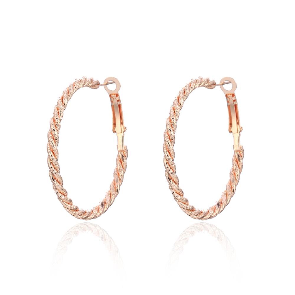 Big Circle Round Hoop Earrings Rose Gold Silvery Colors Stainless Steel Punk Trendy Earring for Women Statement Jewelry