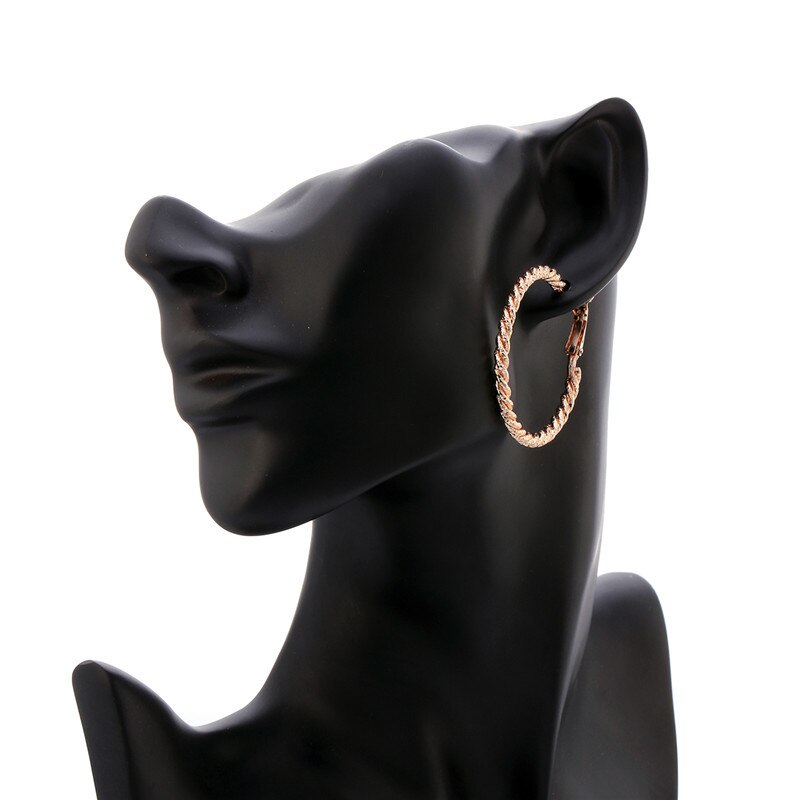 Big Circle Round Hoop Earrings Rose Gold Silvery Colors Stainless Steel Punk Trendy Earring for Women Statement Jewelry