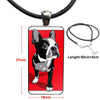 Boston Terrier Dog In Green For Girls Gift Glass Cabochon Choker Pendant Rectangle Necklace Steel Color Jewelry
