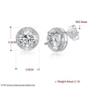 Fine Jewelry 925 Sterling Silver Stud Earrings Round style With Colors AAA+ Zircon Earrings Gifts For Women CWE024