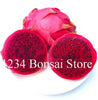 Cheap Price 100 pcs Mixed Dragon Fruit Cactus Non-GMO Colorful Hylocereus Undatus Garden Pitaya Bonsai Small Bonsai Plants