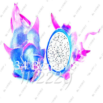 Cheap Price 100 pcs Mixed Dragon Fruit Cactus Non-GMO Colorful Hylocereus Undatus Garden Pitaya Bonsai Small Bonsai Plants