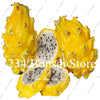Cheap Price 100 pcs Mixed Dragon Fruit Cactus Non-GMO Colorful Hylocereus Undatus Garden Pitaya Bonsai Small Bonsai Plants