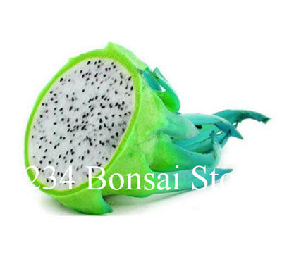 Cheap Price 100 pcs Mixed Dragon Fruit Cactus Non-GMO Colorful Hylocereus Undatus Garden Pitaya Bonsai Small Bonsai Plants
