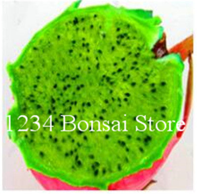 Cheap Price 100 pcs Mixed Dragon Fruit Cactus Non-GMO Colorful Hylocereus Undatus Garden Pitaya Bonsai Small Bonsai Plants