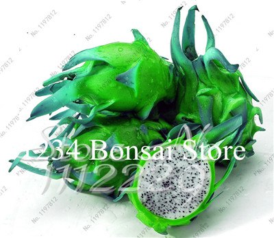 Cheap Price 100 pcs Mixed Dragon Fruit Cactus Non-GMO Colorful Hylocereus Undatus Garden Pitaya Bonsai Small Bonsai Plants