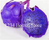 Cheap Price 100 pcs Mixed Dragon Fruit Cactus Non-GMO Colorful Hylocereus Undatus Garden Pitaya Bonsai Small Bonsai Plants