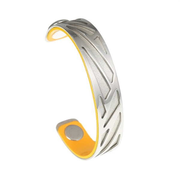 Ruban Bangles Steel Stainless Bracelets Argent For Women Reversible Interchangeable Leather Band Arm Cuff Jewelry Pulseras