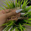 Custom Name Hoop Earrings For Women Girls Stainless Steel Personalized Big Nameplate Handmade Jewelry Round Circle Oorbellen BFF