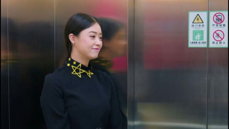 Embroidered Star Necklace Vest Blouse Fake Collar color embroidery necklace vest shirt fake collar