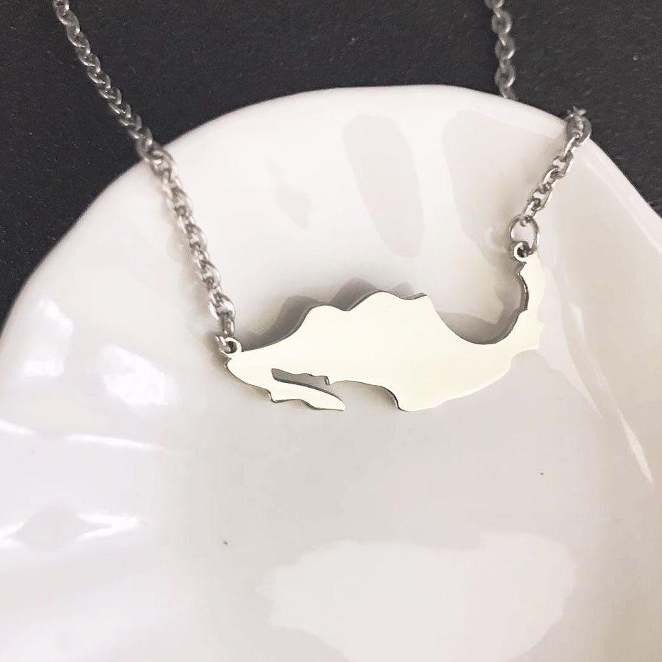 FOXCRAFT Charm Stainless Steel Jewelry Country map Necklace the map of Mexico Pendant Necklace Jewelry