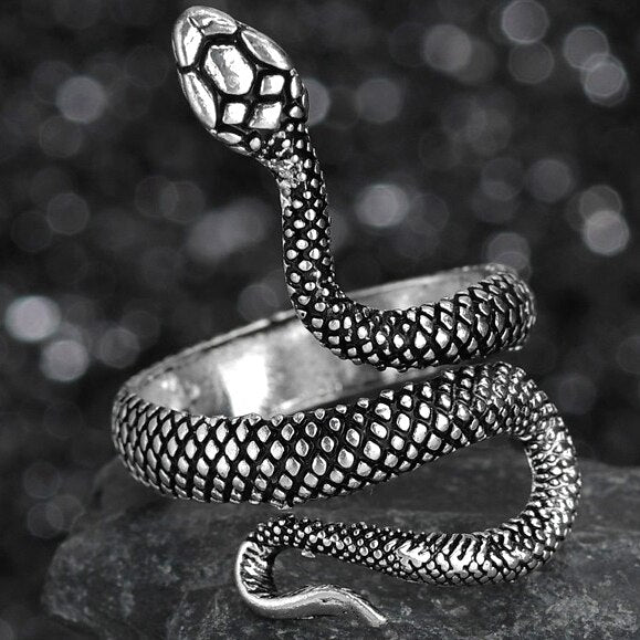 Flying Dragon Rings Punk Vintage Snake Ring Adjustable Hiphop Rock Jewelry Finger for Man Women Gift