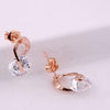 Fashion Women Jewelry Exquisite Wild Spiral Luxury Crystal Earrings Geometric Stud Earring Bridal Wedding Jewelry Accessories