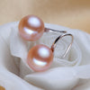 Fashion high quality pearl earrings High Luster Pearl jewelry Classic 925 silver earrings for women Party wedding earrings