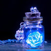 Glow In The Dark Rose Flower Glass Wishing Bottle Necklace Vintage Glowing Necklace For Women Girl Charm Statement Jewelry Gift