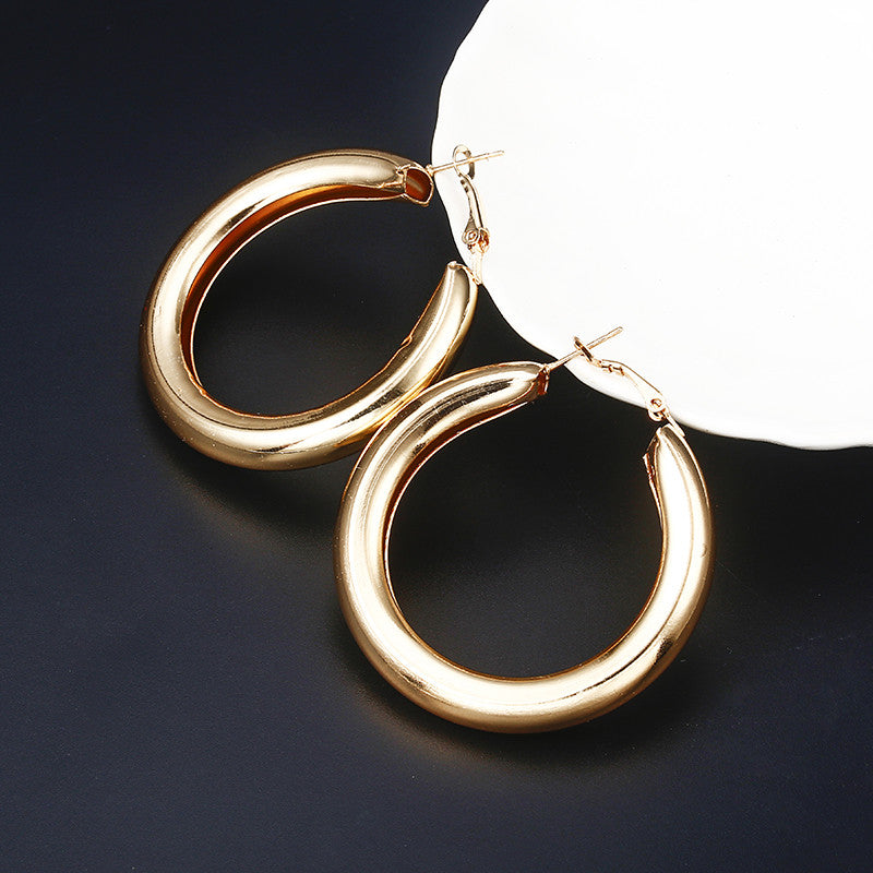 Gold Silver Hoops Earrings Minimalist Thick Tube Round Circle Rings Earrings For Women earrings fashion jewelry Charms Trendy