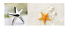 925 Sterling Silver Charm Earrings Mini Starfish Studs Earring Women Girl Ladies Jewelry Wedding Gift