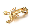 Hiphop / Rock Jewelry Large Gold 50*80mm Biker scorpion Pendant 316L Stainless Steel  Rolo Chain Necklace Father Gifts 24''