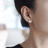 925 Sterling Silver Pretty rose Flower stud Earrings for Women classic party wedding Jewelry Holiday gifts